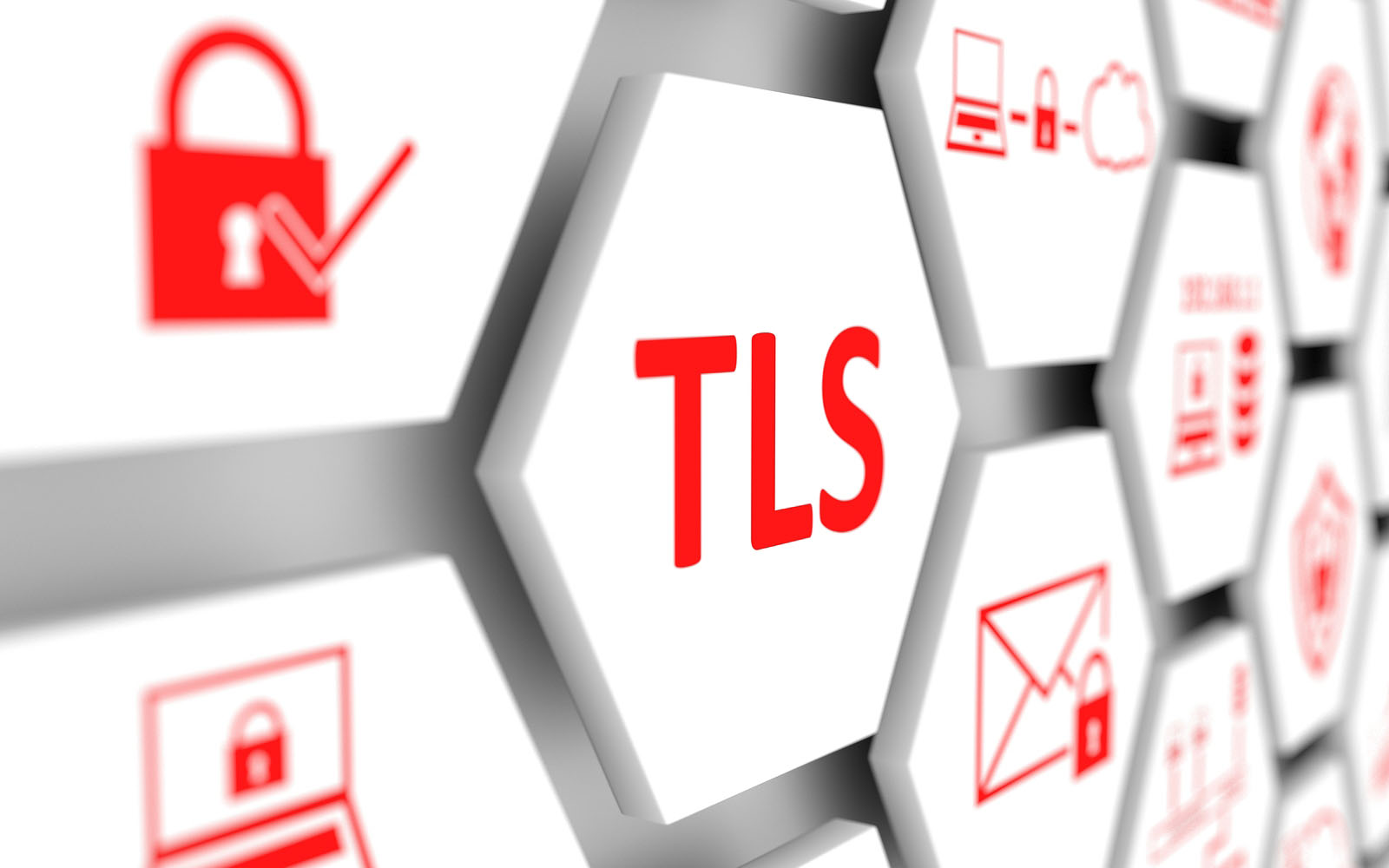 TLS logo